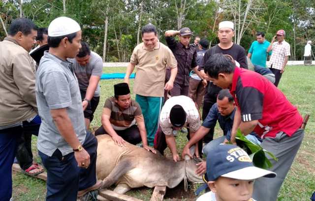 IAIN Padangsidimpuan Gelar Sholat Idul Adha 1439 Hijriyah dan Sembelih 5 Ekor Hewan Qurban