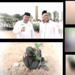 Menanam Harapan, Menyemai Kesadaran: CPPPK Wujudkan Ekoteologi di UIN Syahada Padangsidimpuan