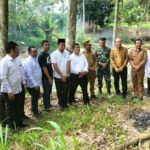 Wali Kota dan Rektor UIN Syahada Tinjau Lokasi Rencana Pembangunan Jalan dan Jembatan Akses Kampus